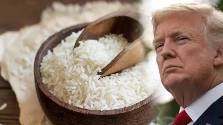 ट्रंप को करारा झटका, चावल के दाने पर रुक गई करोड़ों की डील