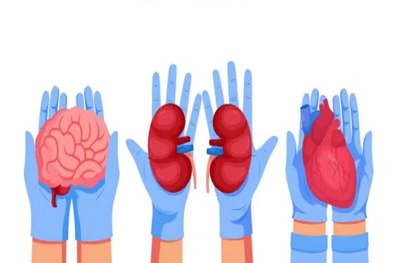 ऑर्गन डोनेशन में बड़ा बदलाव: मेडिकल कॉलेजों में शुरू होगी सुविधा, महिलाओं को मिलेगा लाभ