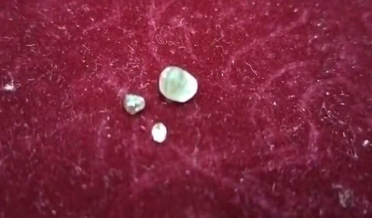 रातोंरात बनी हीरों की मालकिन! पन्ना में आदिवासी महिला को मिले 3 नायाब हीरे रातोंरात बनी हीरों की मालकिन! पन्ना में आदिवासी महिला को मिले 3 नायाब हीरे