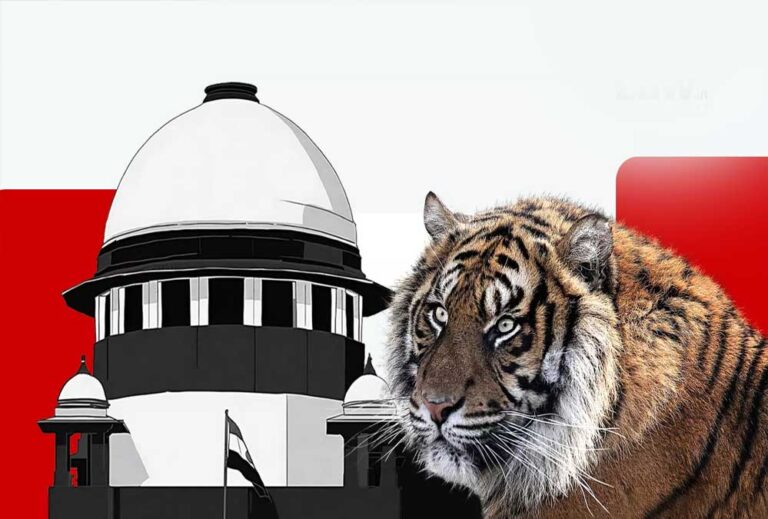 MP और महाराष्ट्र में बाघों के शिकार पर बवाल, सुप्रीम कोर्ट ने मांगा जवाब, उठे संगठित गिरोहों के सवाल