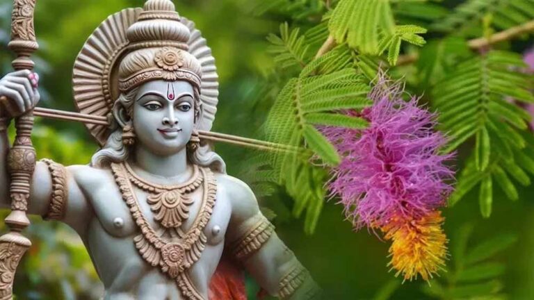 शमी पूजा क्यों है दशहरे पर विशेष? जानें ऐतिहासिक और धार्मिक कारण शमी पूजा क्यों है दशहरे पर विशेष? जानें ऐतिहासिक और धार्मिक कारण