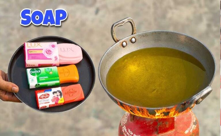 आज से महंगाई पर ब्रेक! ब्रेड, दूध और पनीर समेत 20 चीजों पर GST छूट आज से महंगाई पर ब्रेक! ब्रेड, दूध और पनीर समेत 20 चीजों पर GST छूट