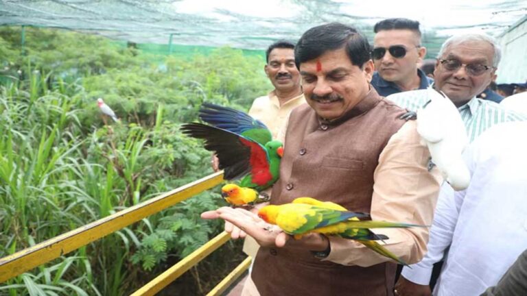 शिमोगा से इंदौर चिड़ियाघर आए चार जंगली भैंस, मुख्यमंत्री यादव ने किया निरीक्षण