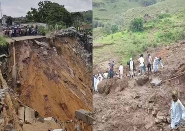धरती का कहर! सूडान में भूस्खलन से गांव तबाह, 1000 लोगों की जान गई