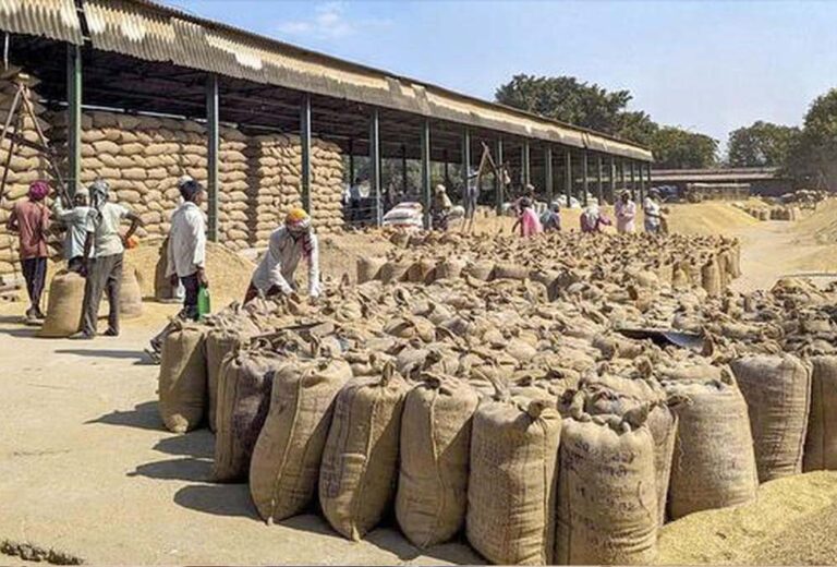 पश्चिमी यूपी में 1 अक्टूबर से शुरू होगी धान खरीद, 23,500 से ज्यादा किसानों ने किया रजिस्ट्रेशन