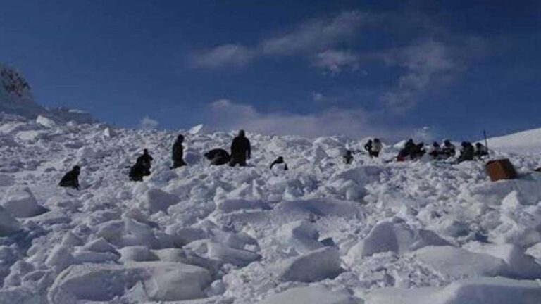 लद्दाख में हिमस्खलन की त्रासदी: तीन जवान शहीद, बचाव कार्य जोर-शोर से जारी