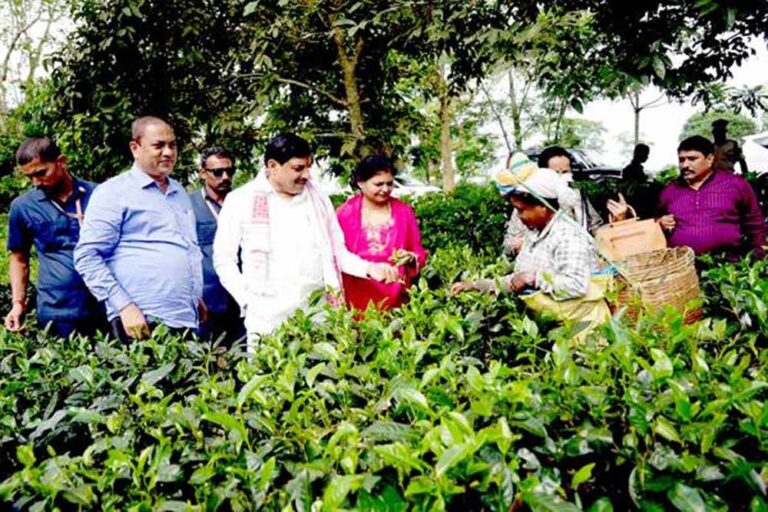 मुख्यमंत्री डॉ. यादव ने काजीरंगा नेशनल पार्क का किया भ्रमण