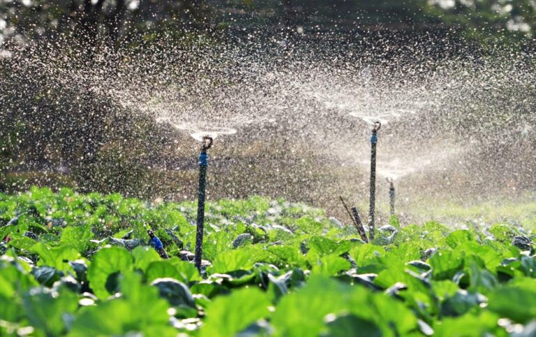 रायपुर में दो सिंचाई परियोजनाओं के लिए 7.36 करोड़ रुपये की मंजूरी