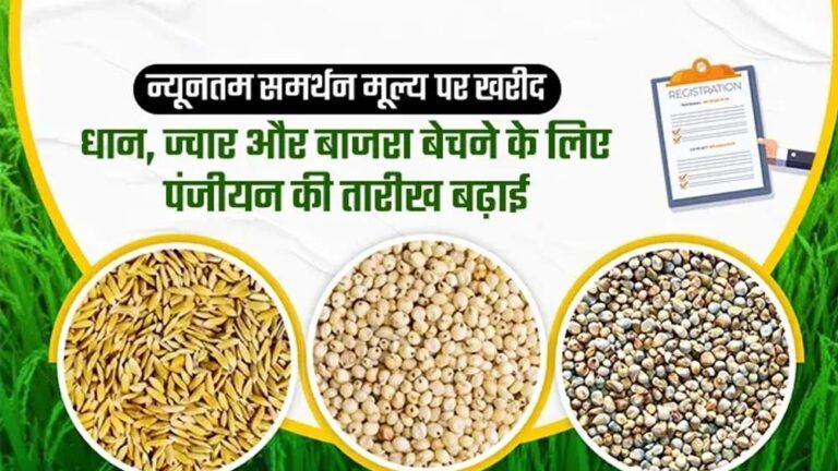 समर्थन मूल्य पर धान, ज्वार, बाजरा उपार्जन के लिए 8.53 लाख किसानों ने किया पंजीयन