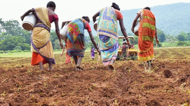 जनजातीय वन-भूमि पट्टाधारी किसानों के लिए खुशखबरी, सब्जी उत्पादन पर मिलेगा विशेष अनुदान