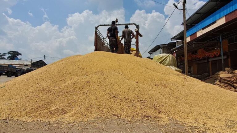 कृषि उपज मंडियों में सोयाबीन की जोरदार खरीदी, भावांतर योजना ने किसानों को दिलाई राहत