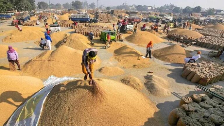 लखनऊ संभाग के उन्नाव, रायबरेली और लखनऊ में भी शनिवार से की जाएगी खरीद