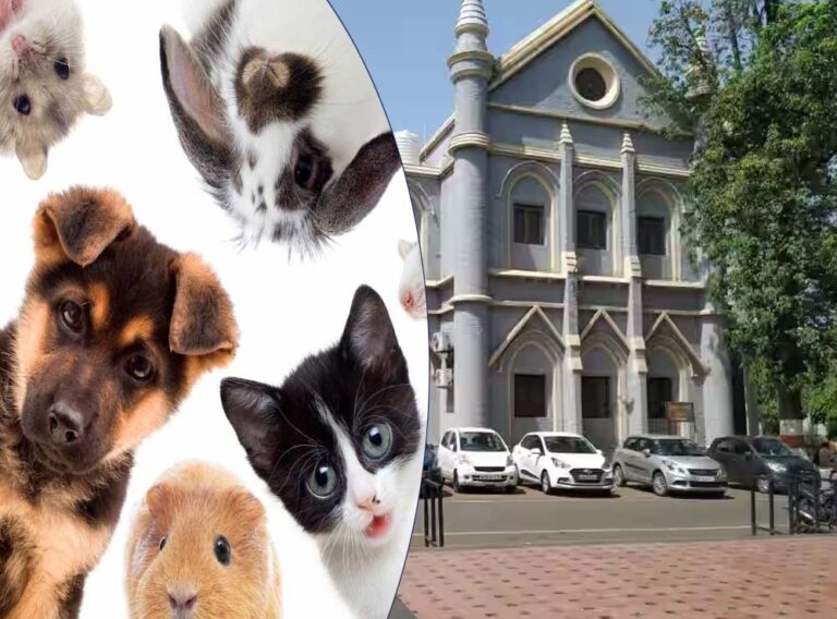 सरकारी क्वार्टर्स में पालतू जानवरों पर रोक? जबलपुर हाईकोर्ट ने कहा – आवास का उपयोग सिर्फ परिवार के लिए हो सरकारी क्वार्टर्स में पालतू जानवरों पर रोक? जबलपुर हाईकोर्ट ने कहा – आवास का उपयोग सिर्फ परिवार के लिए हो