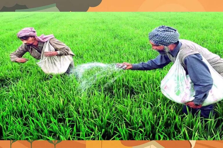 ग्वालियर के अफसर का डिजिटल कमाल: एक क्लिक में मिलेगी किसान की पूरी जानकारी, खत्म होगा खाद संकट ग्वालियर के अफसर का डिजिटल कमाल: एक क्लिक में मिलेगी किसान की पूरी जानकारी, खत्म होगा खाद संकट