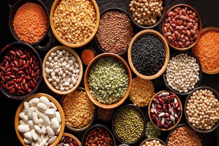 दलहन आत्मनिर्भर भारत की ओर कदम: शिवराज सिंह ने लॉन्च किया MSP प्लान, हर बेघर को मिलेगा घर दलहन आत्मनिर्भर भारत की ओर कदम: शिवराज सिंह ने लॉन्च किया MSP प्लान, हर बेघर को मिलेगा घर