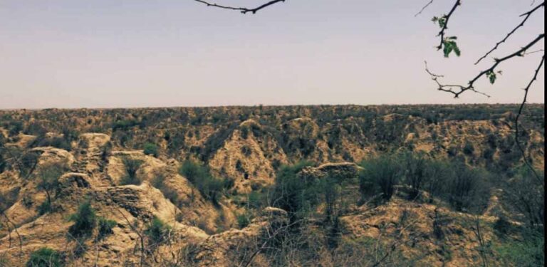 उज्जवल भविष्य की ओर कदम: चंबल के बीहड़ में सौर ऊर्जा का नया अध्याय उज्जवल भविष्य की ओर कदम: चंबल के बीहड़ में सौर ऊर्जा का नया अध्याय