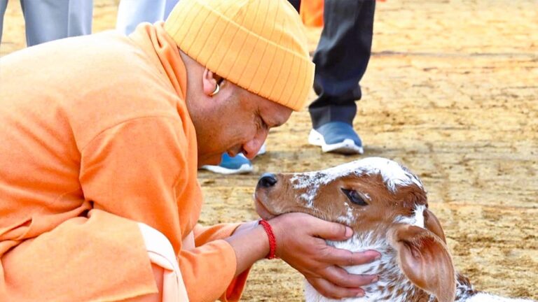 विशेष आर्टिकल- नंद बाबा दुग्ध मिशन: यूपी में डेयरी क्रांति, किसानों की आय बढ़ी और ग्रामीण अर्थव्यवस्था बनी आत्मनिर्भर