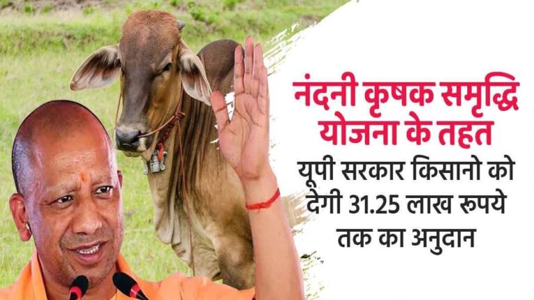विशेष आर्टिकल-नंदिनी कृषक समृद्धि योजना: योगी सरकार का डेयरी सशक्तिकरण मॉडल और इसके व्यापक लाभ