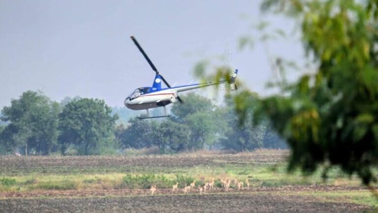 अभियान में अभी तक 501 कृष्ण मृग, 59 नीलगाय को राष्ट्रीय उद्यान में छोड़ा