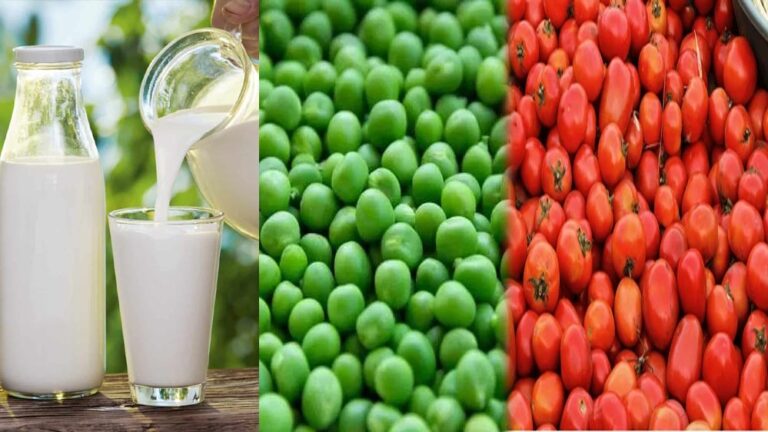 कृषि में मध्य प्रदेश का दबदबा: टमाटर और मटर में शीर्ष, दुग्ध उत्पादन बढ़ाने की योजना