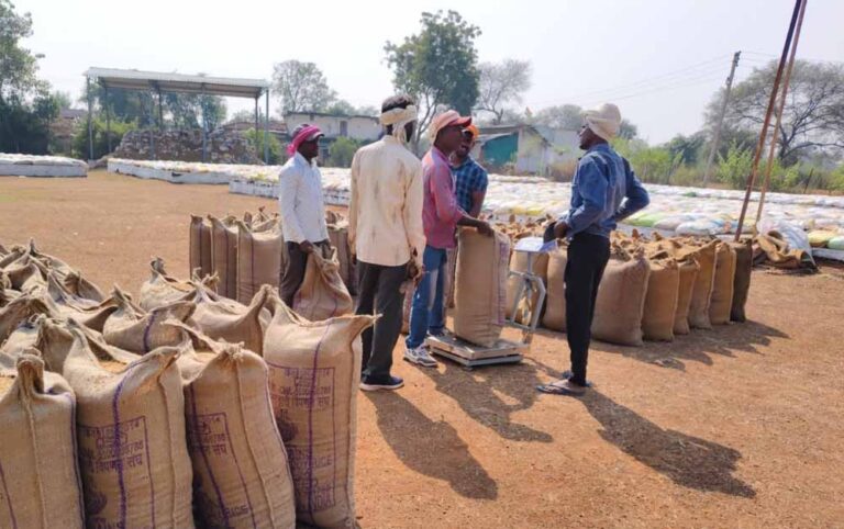 बालोद जिले में समर्थन मूल्य पर धान खरीदी सुचारु रूप से जारी