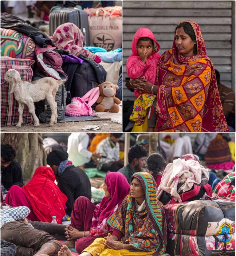 ‘चार बार डाला वोट’, अवैध घुसपैठियों का खुलासा; हाकिमपुर सीमा पर भारी भीड़ जुटी ‘चार बार डाला वोट’, अवैध घुसपैठियों का खुलासा; हाकिमपुर सीमा पर भारी भीड़ जुटी