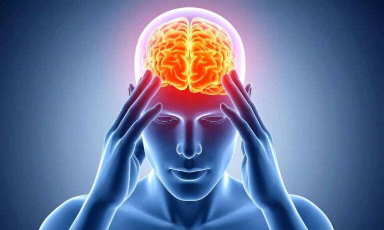 बचपन से 32 साल तक दिमाग कैसे बदलता है? जीवनभर में आते हैं 4 अहम मानसिक परिवर्तन