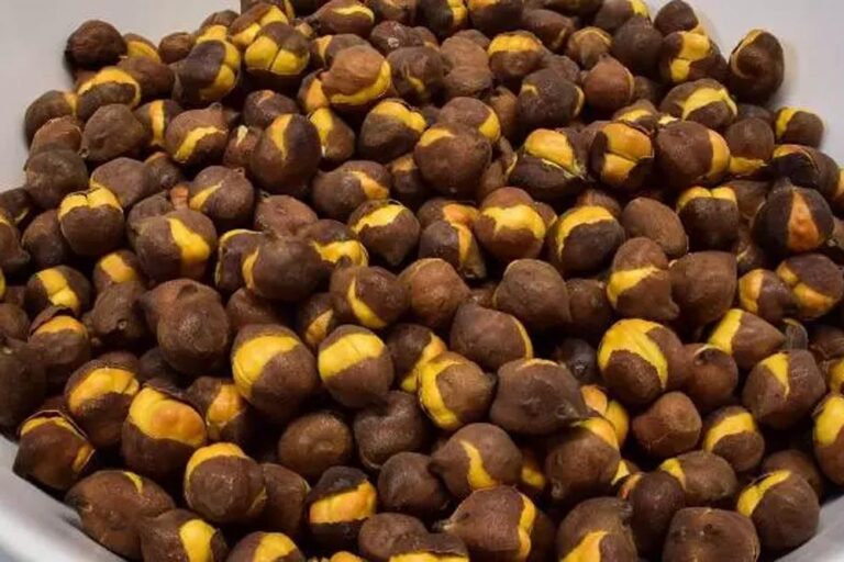 सांसद ने उठाया सवाल, भुने चने में कपड़ा रंगने वाले केमिकल का प्रयोग केंद्र को बताया