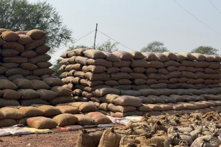 रायपुर : 17 व्यापारियों से 13 लाख रूपए का 622 क्विंटल पुराना धान जब्त