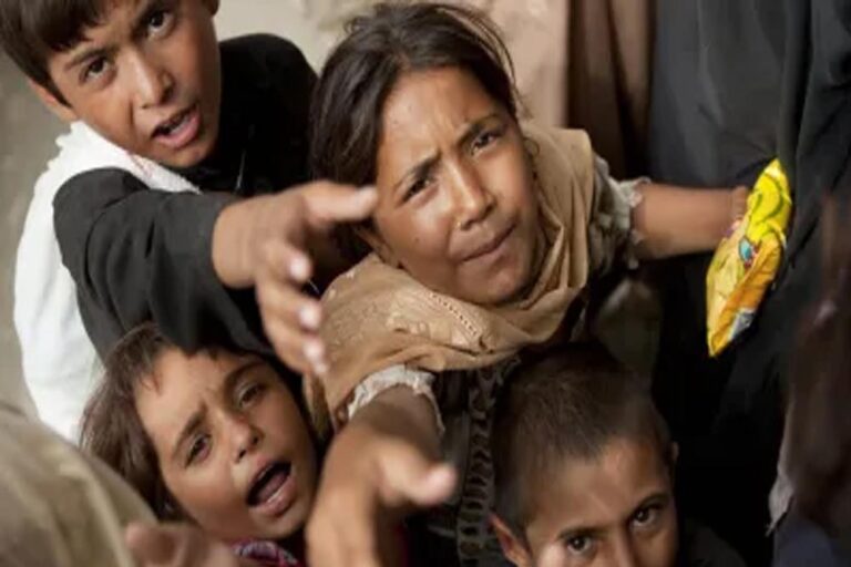 अधिभार के कारण पाकिस्तान के सामने संकट, आबादी बढ़ोतरी से संभावित चुनौतियां