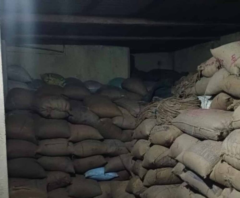 रायगढ़ में बड़ी कार्रवाई: 30 प्रकरणों से 3,266 क्विंटल अवैध धान जब्त, कीमत एक करोड़ पार