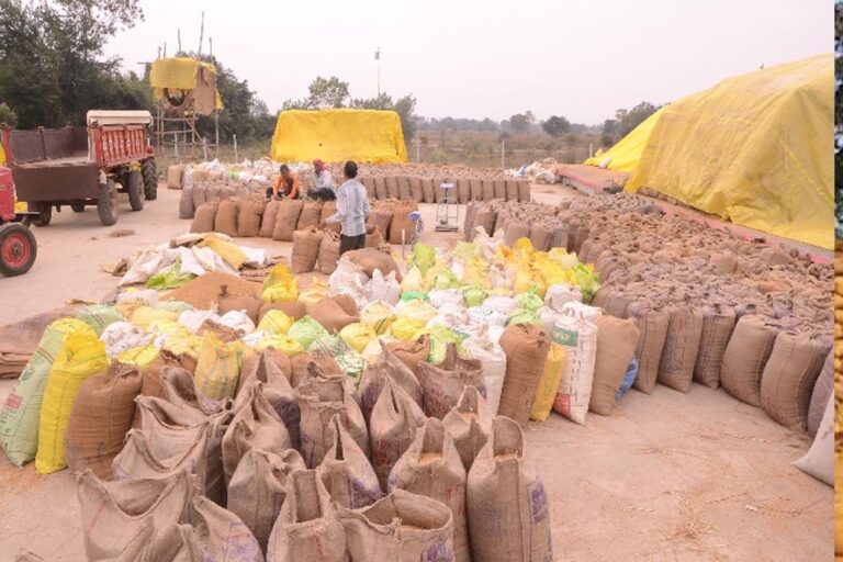 अम्बिकापुर : धान उपार्जन की तैयारी को लेकर प्रशिक्षण संपन्न – कलेक्टर ने दिए आवश्यक दिशा-निर्देश अम्बिकापुर : धान उपार्जन की तैयारी को लेकर प्रशिक्षण संपन्न – कलेक्टर ने दिए आवश्यक दिशा-निर्देश