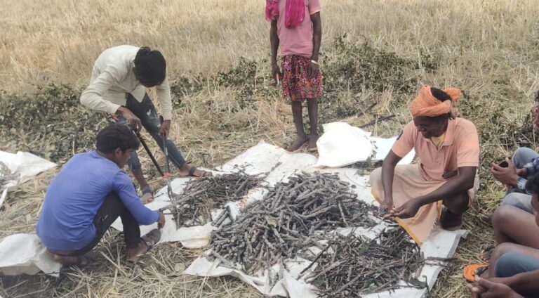 छत्तीसगढ़ के 25 वर्षों की विकास गाथा : वनोपज, जल संरक्षण और ईको टूरिज्म से समृद्ध हुआ राज्य