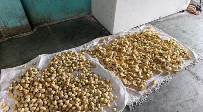 मिलावटखोरों पर शिकंजा: इंदौर की मोमो फैक्ट्री में गंदगी और अजीनोमोटो का भारी उपयोग पाया गया