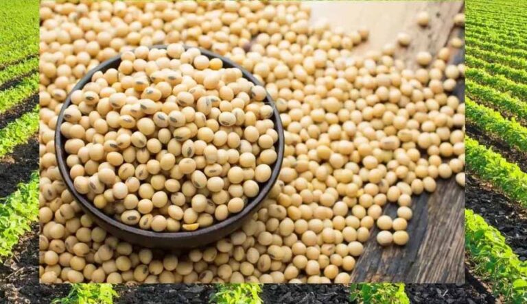 किसानों को समय पर भुगतान के लिए मंडी बोर्ड ने लिया 1,500 करोड़ रुपये का कर्ज