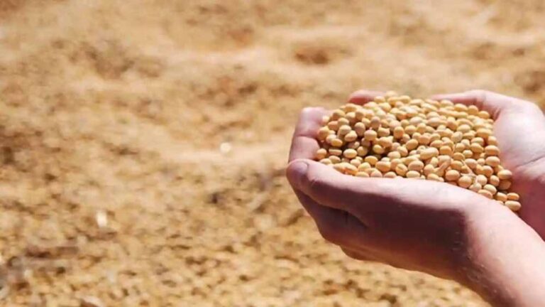 भावांतर योजना में आज बढ़कर 4077 रुपए मॉडल रेट जारी भावांतर योजना में आज बढ़कर 4077 रुपए मॉडल रेट जारी