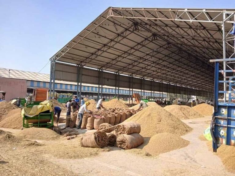 धान खरीदी में सुगमता हेतु ‘तुहर टोकन मोबाइल एप’ प्रारंभ — किसानों को मिलेगी घर बैठे टोकन सुविधा, समितियों में लंबी कतारों से मिलेगी मुक्ति धान खरीदी में सुगमता हेतु ‘तुहर टोकन मोबाइल एप’ प्रारंभ — किसानों को मिलेगी घर बैठे टोकन सुविधा, समितियों में लंबी कतारों से मिलेगी मुक्ति