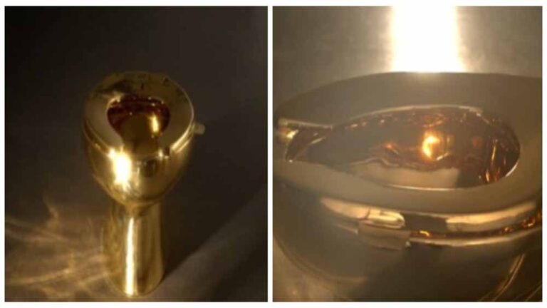 24 कैरेट गोल्ड से बना टॉयलेट जल्द होगा नीलाम, कीमत सुनकर उड़ जाएंगे होश!