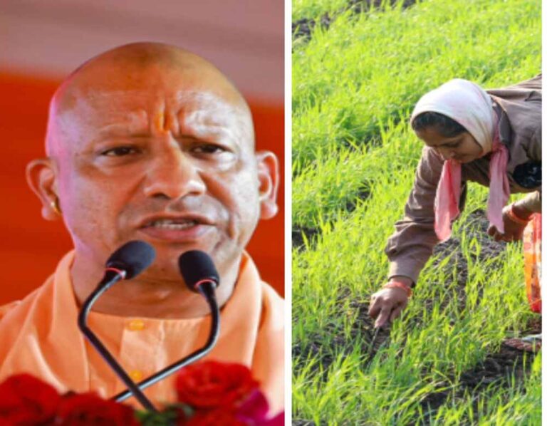 मुख्यमंत्री योगी आदित्यनाथ की नीतियों से खाद्यान्न उत्पादन में यूपी अग्रणी राज्य के तौर पर पहचान को कर रहा पुख्ता