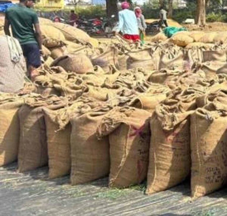 पारदर्शी धान खरीदी मॉडल: मुख्यमंत्री विष्णुदेव साय के नेतृत्व में मजबूत हो रही किसानों की अर्थव्यवस्था