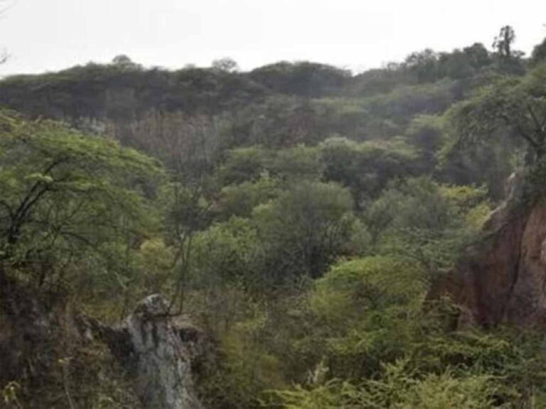 दिल्ली से राजस्थान तक अरावली को लेकर टकराव, आखिर किस बात का है विवाद? दिल्ली से राजस्थान तक अरावली को लेकर टकराव, आखिर किस बात का है विवाद?