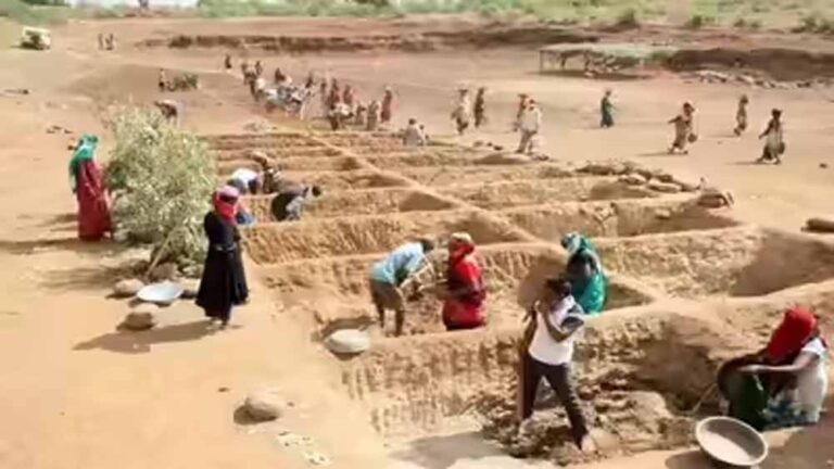 राष्ट्रपति ने दी मंजूरी: विकसित भारत-जी राम कानून से 125 दिन काम की गारंटी राष्ट्रपति ने दी मंजूरी: विकसित भारत-जी राम कानून से 125 दिन काम की गारंटी