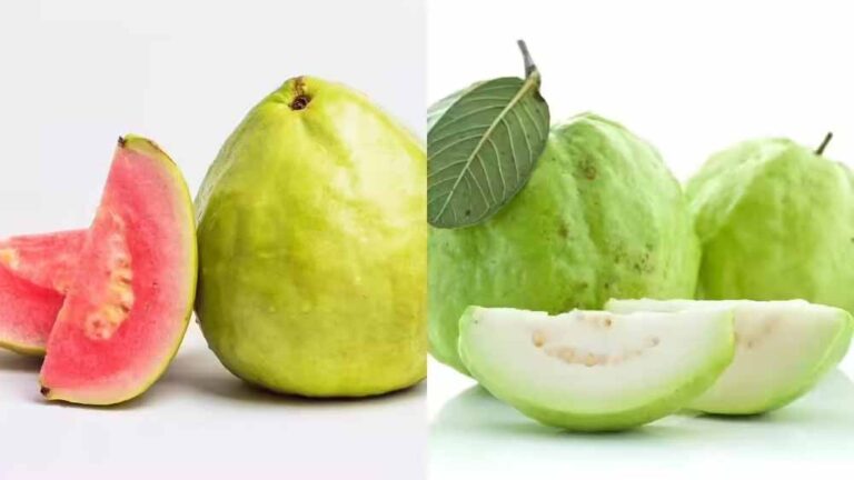 लाल या सफेद– किस अमरूद में है ज्यादा न्यूट्रिशन? जानें दोनों के जबरदस्त फायदे