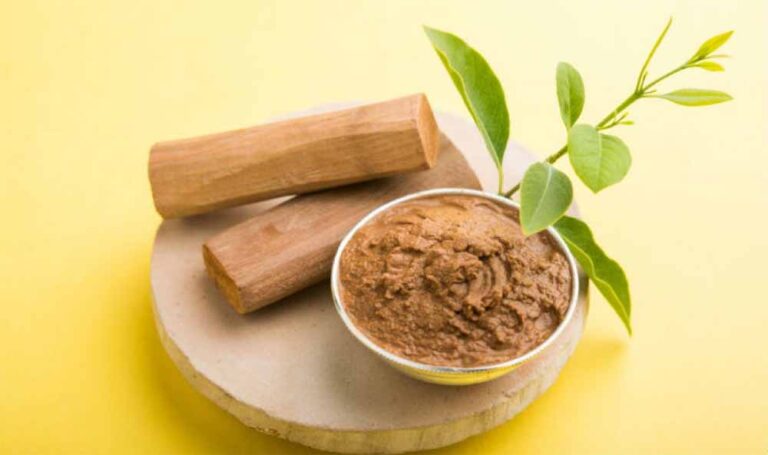 चंदन का पौधा या लकड़ी घर में रखने से मिलते हैं अद्भुत लाभ, जानिए सही वास्तु तरीका