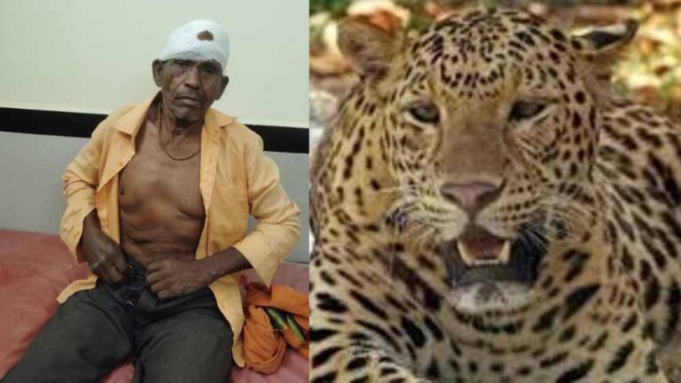 जंगल में दहशत: नीम की पत्तियां लेने गए ग्रामीण पर तेंदुए का हमला