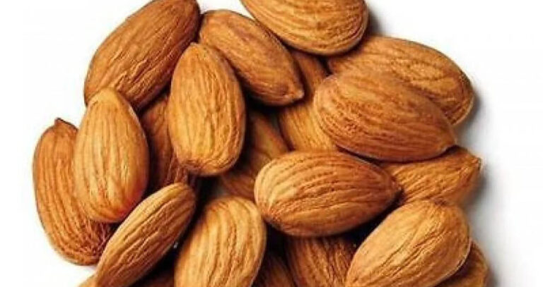 दूध नहीं, ये 7 फूड्स हैं हड्डियों के लिए कैल्शियम के पावरहाउस, जानें क्या हैं वो