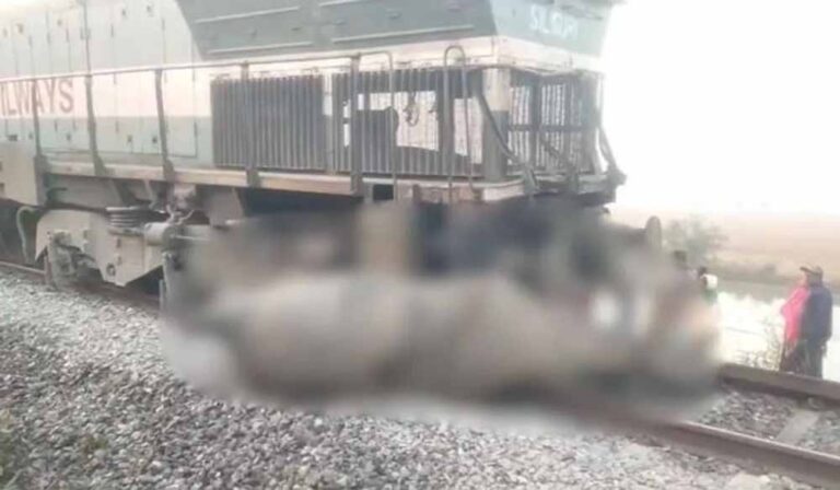 रेल हादसा: राजधानी एक्सप्रेस से टकराने से 8 हाथियों की मौत, पटरी से उतरे  5 डिब्बे