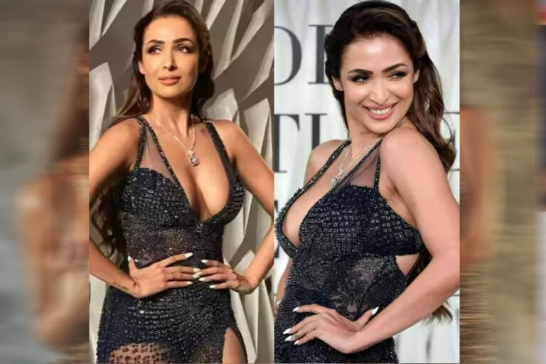 मलाइका अरोड़ा ने कहा- अरबाज खान से तलाक के बाद शादी को लेकर नहीं है पछतावा, अगर प्यार मिला तो करूंगी दूसरी शादी