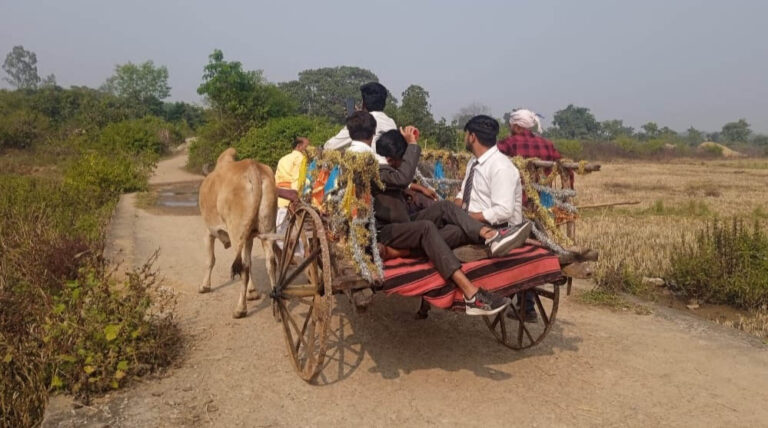 रीवा बना पर्यटकों की पसंद, 80% बुकिंग के साथ होम स्टे और बैलगाड़ी में मजेदार अनुभव