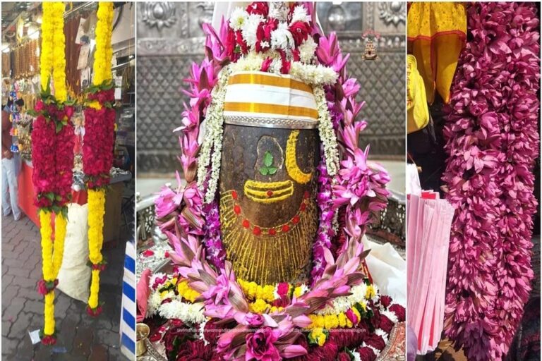 महाकाल मंदिर में नई गाइडलाइन: अजगर माला पहनाने पर रोक, भक्तों को दिया गया निर्देश